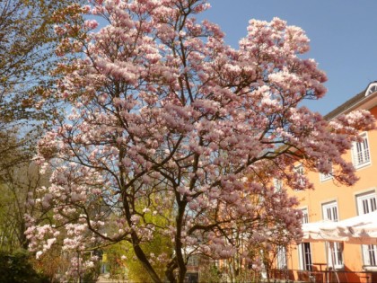 Foto: Kasino Lippstadt